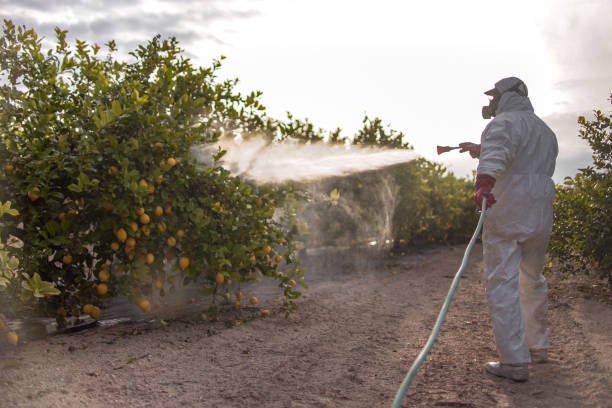 Ko Olina, HI Pest Control Company