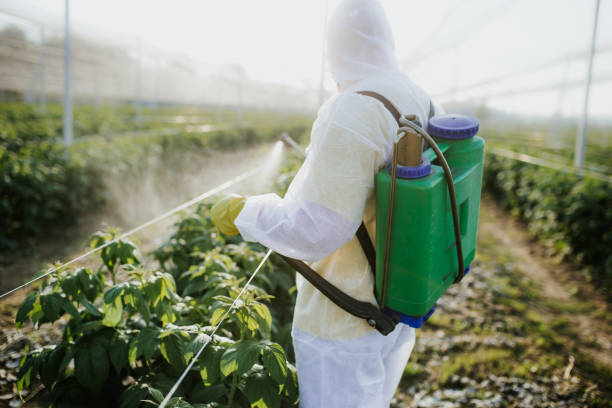 Best Mosquito Control Services  in Ko Olina, HI